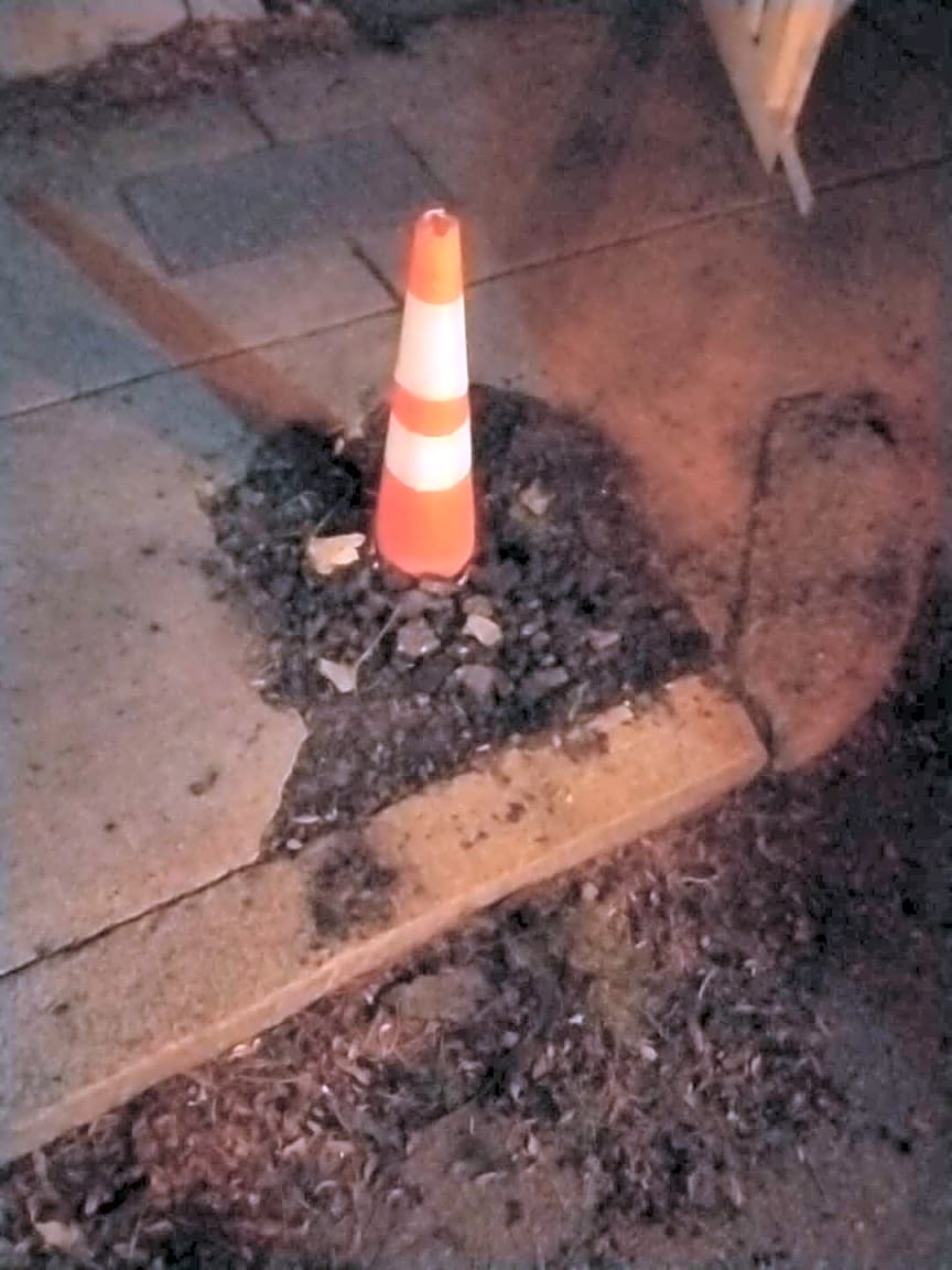 Image submitted with report