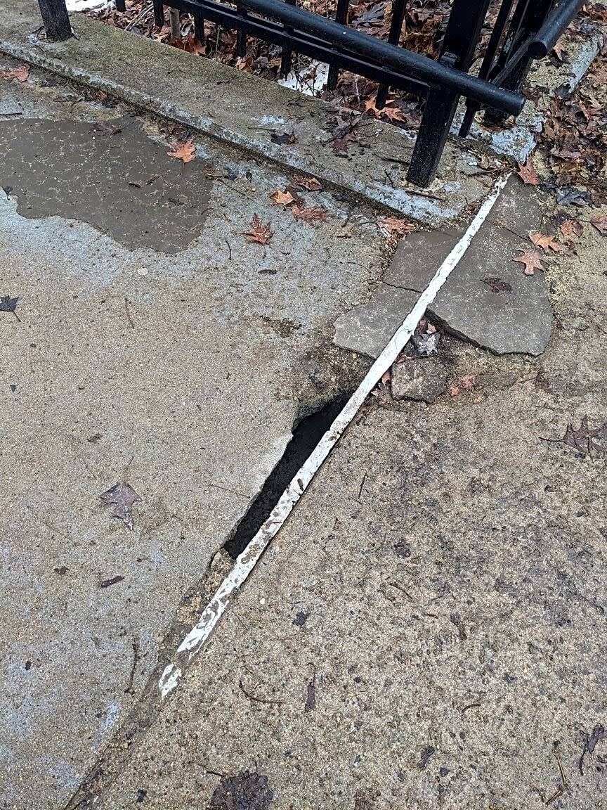 Image submitted with report