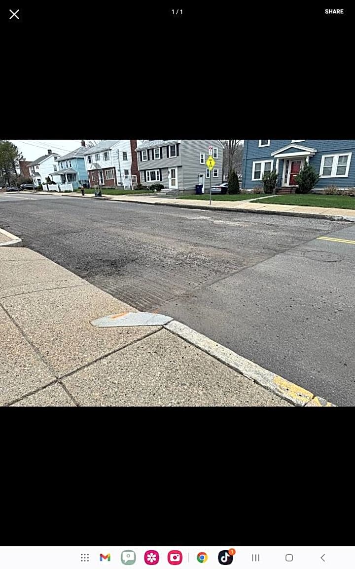 Image submitted with report