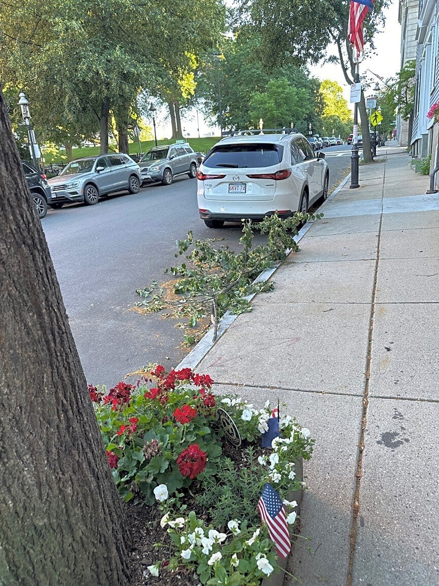 Image submitted with report