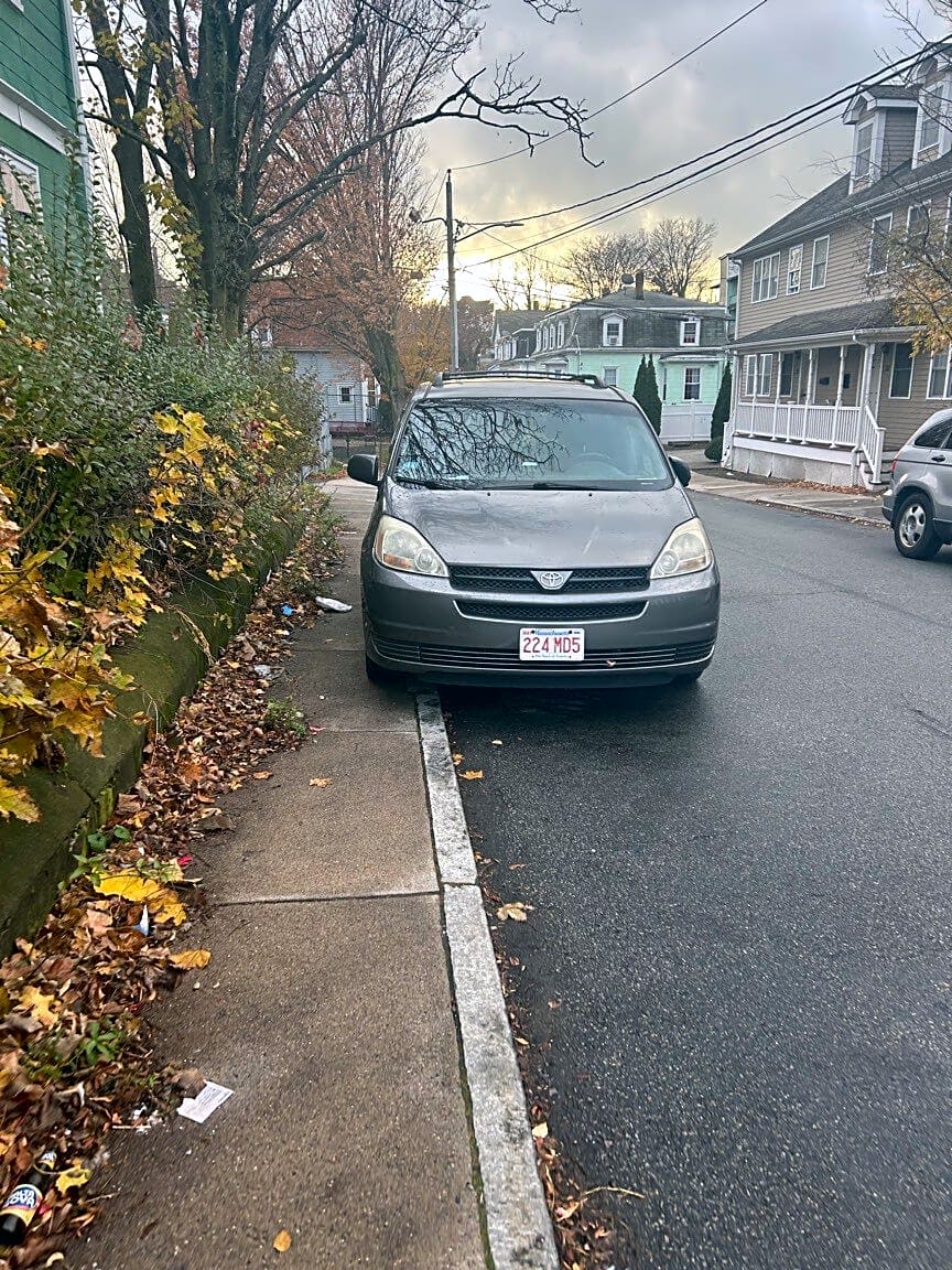 Image submitted with report