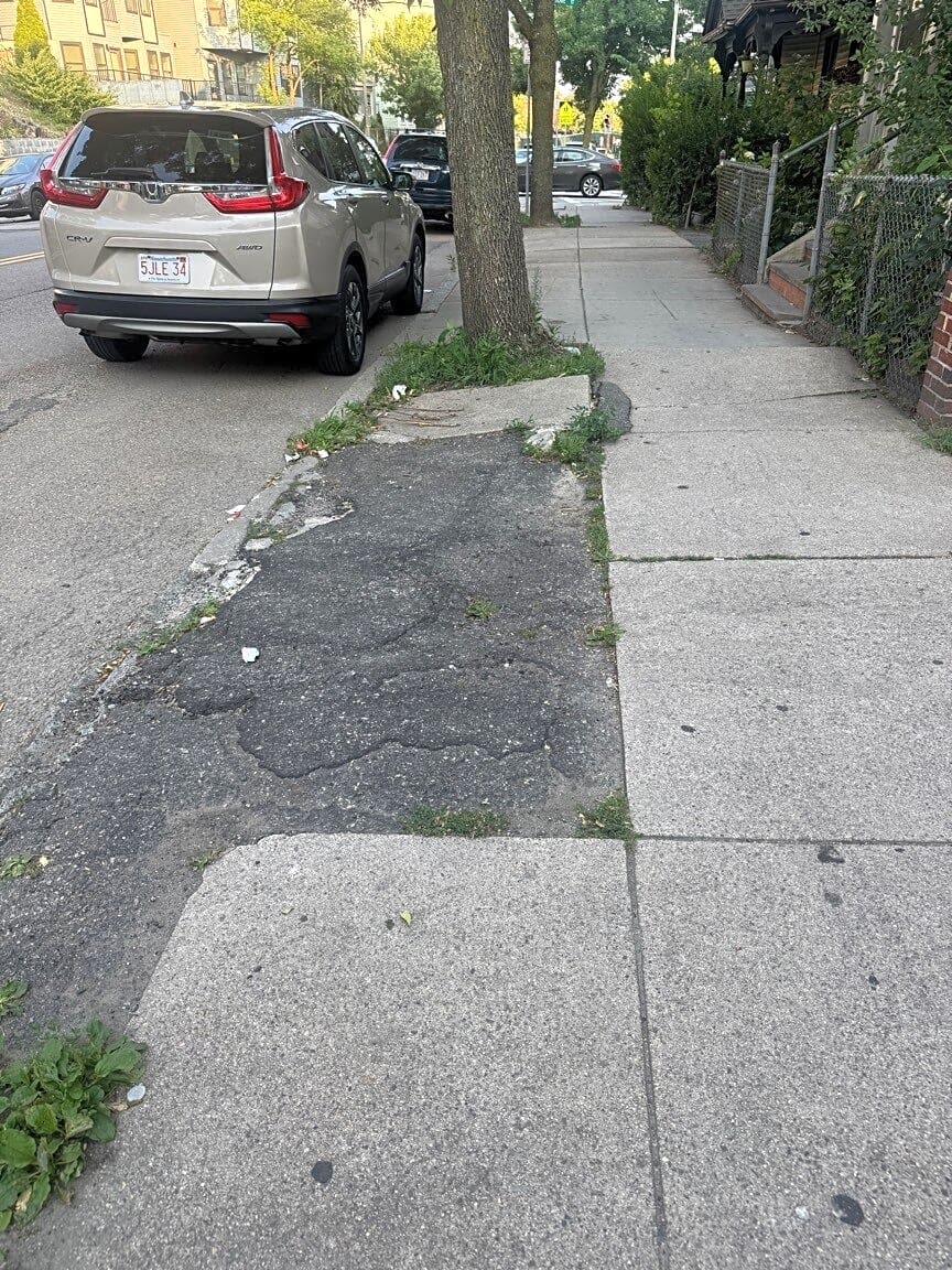 Image submitted with report