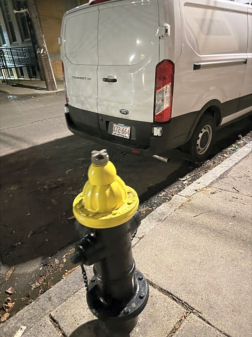 Image submitted with report