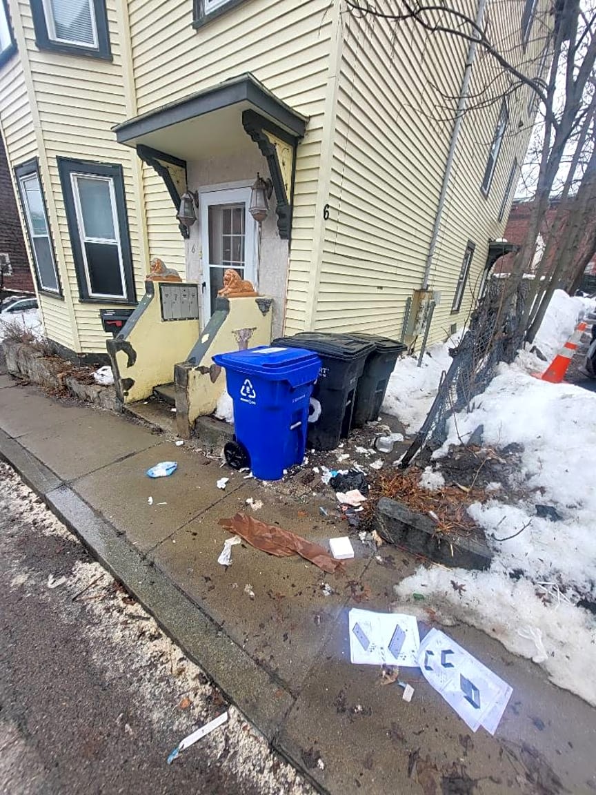 Image submitted with report