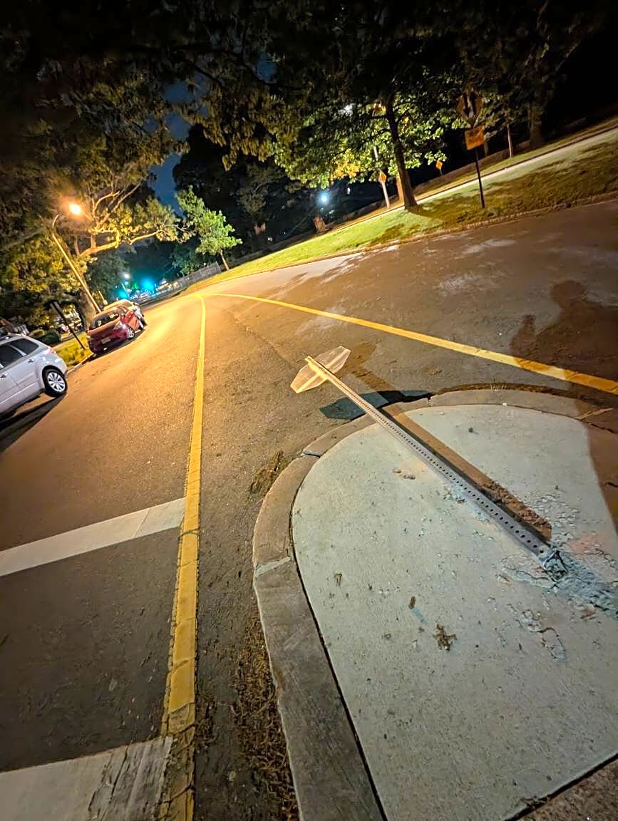 Image submitted with report
