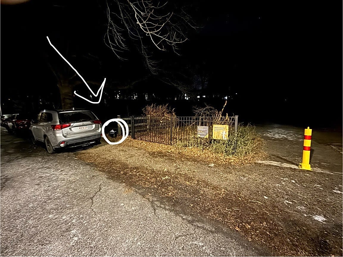 Image submitted with report