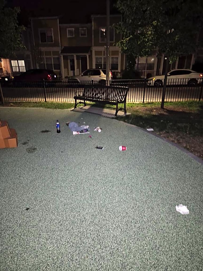 Image submitted with report