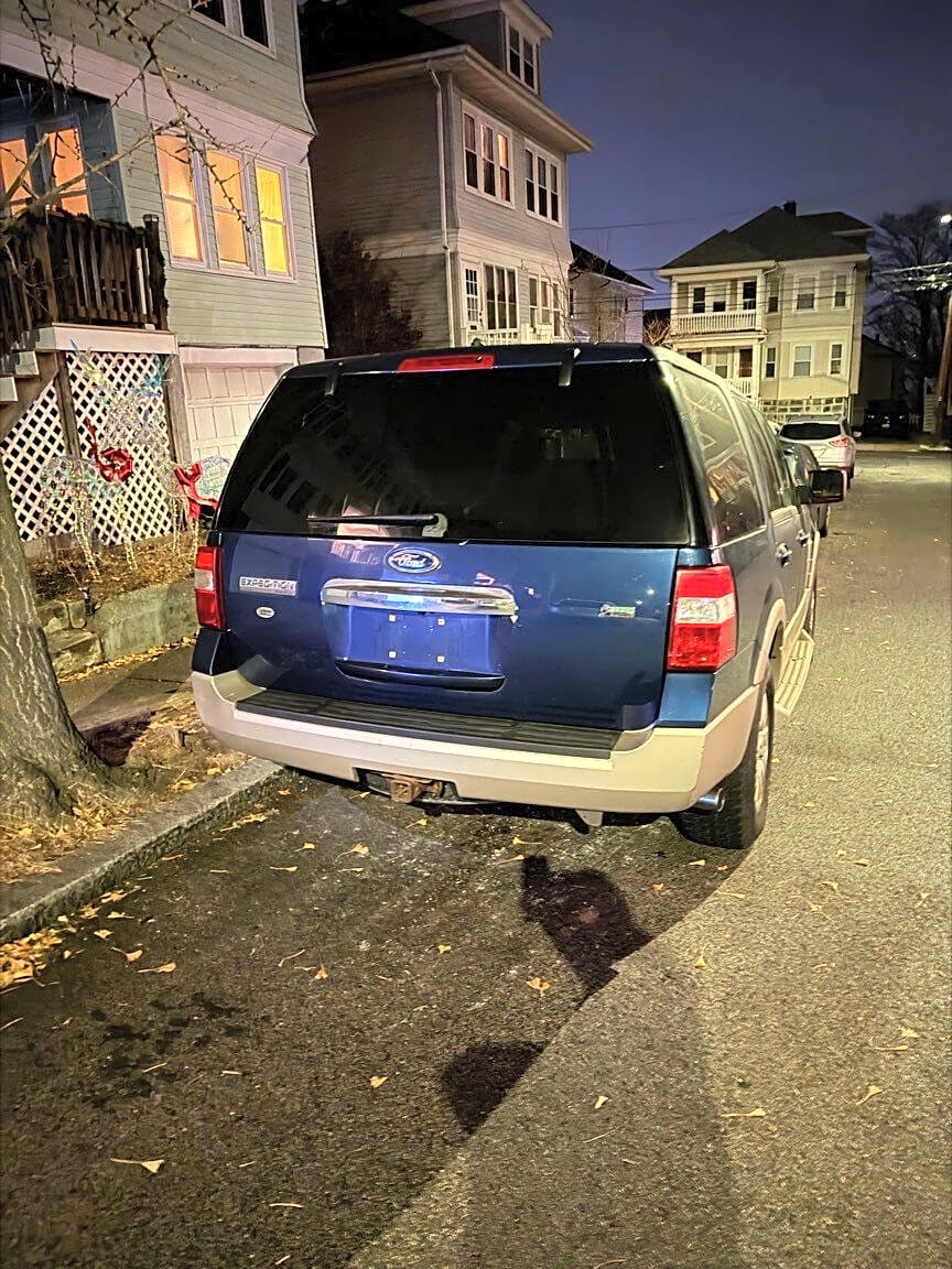 Image submitted with report