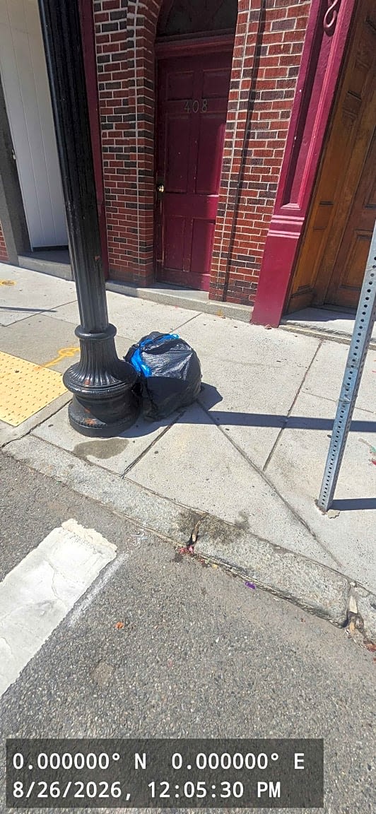 Image submitted with report