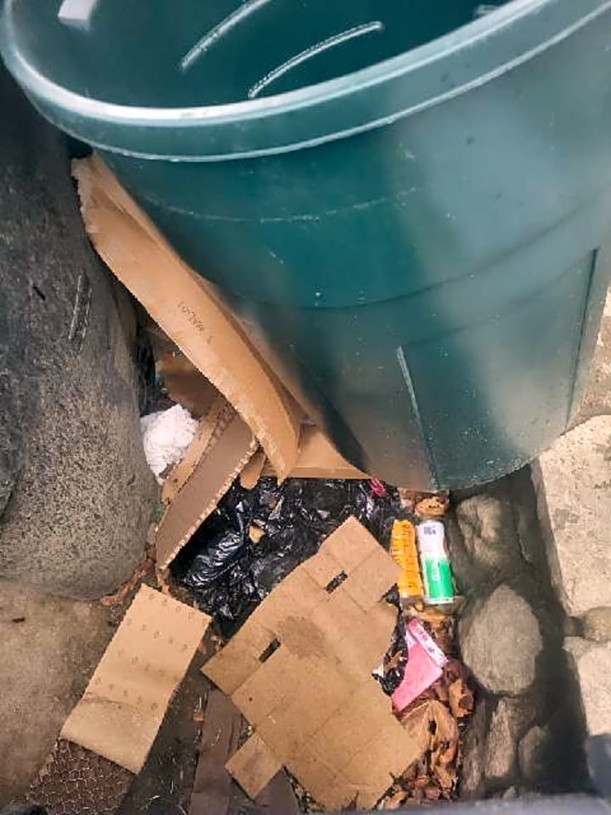 Image submitted with report