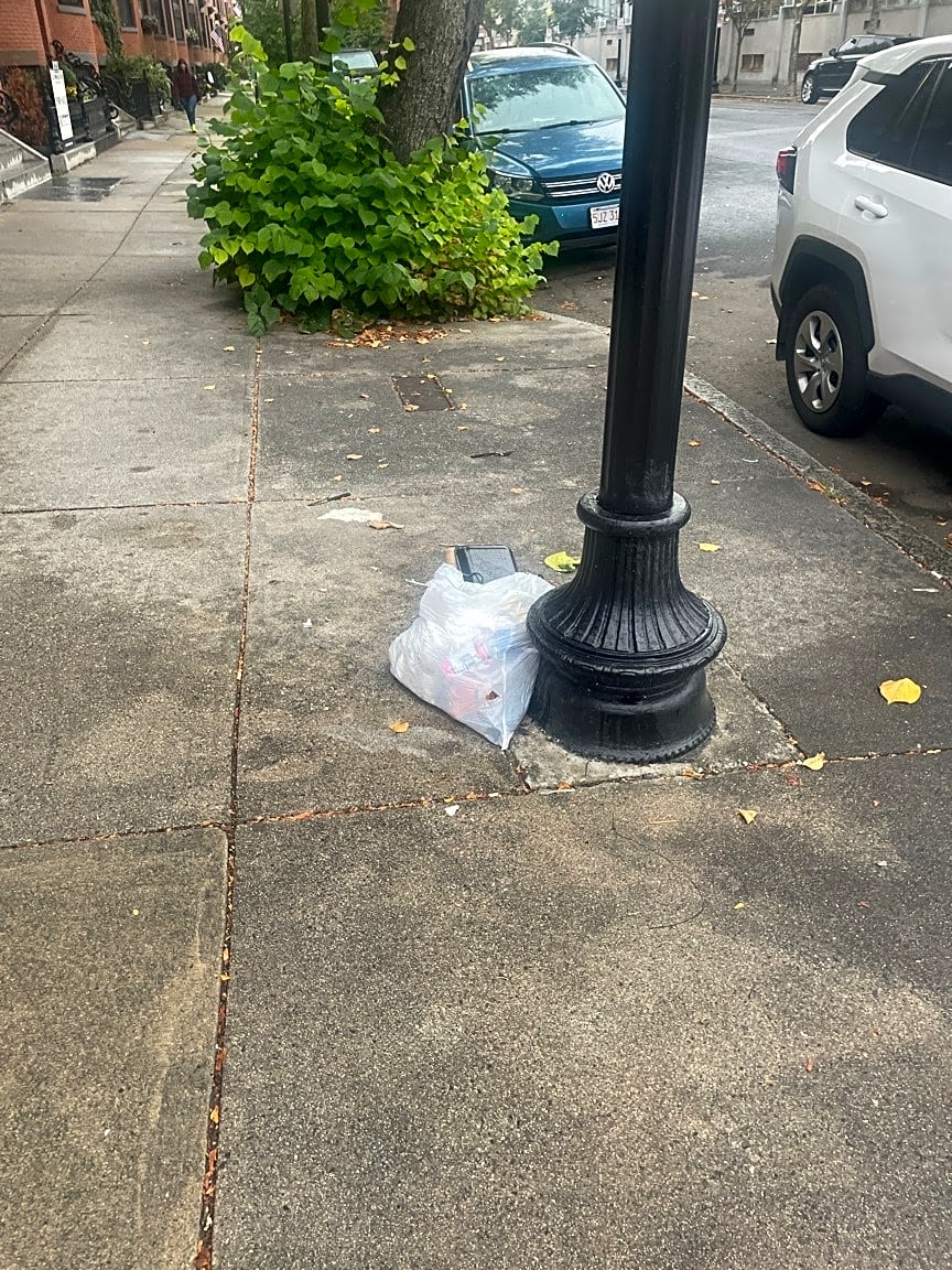 Image submitted with report