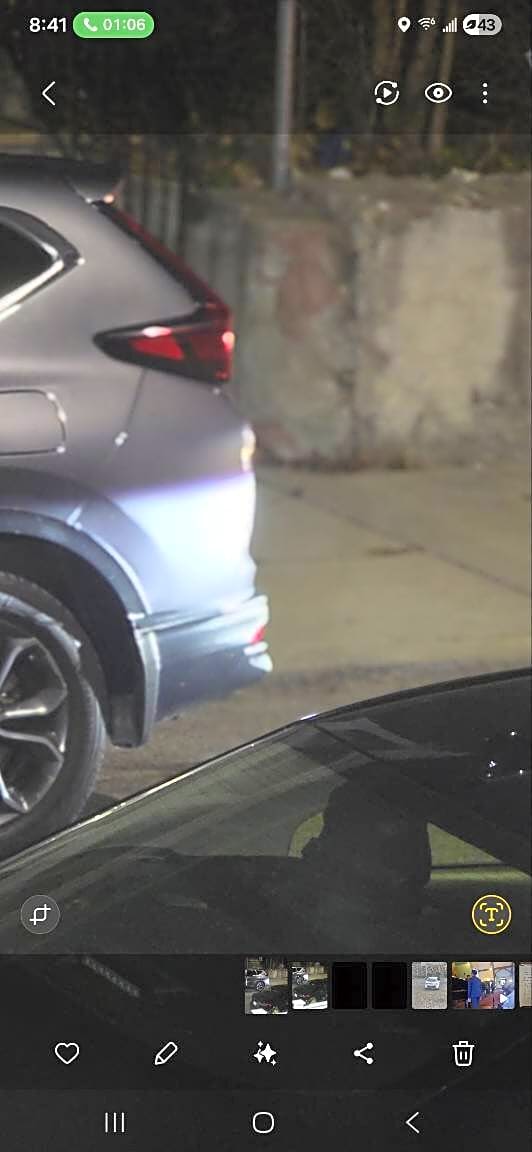 Image submitted with report