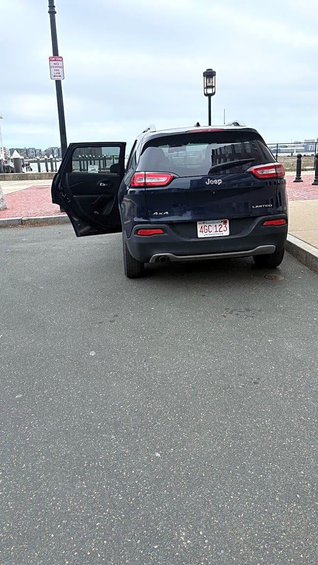 Image submitted with report