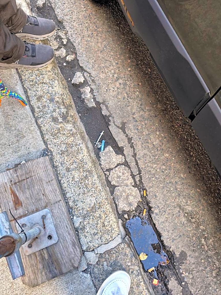 Image submitted with report