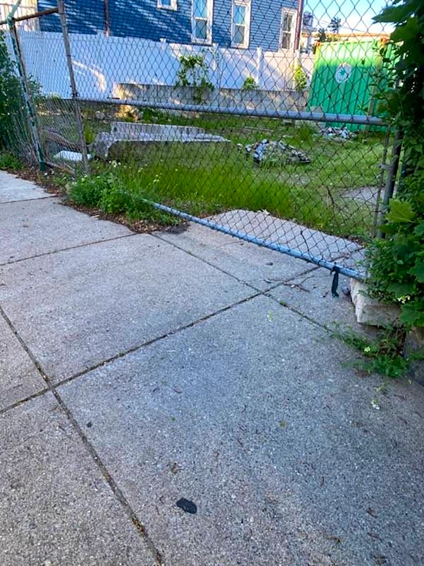 Image submitted with report