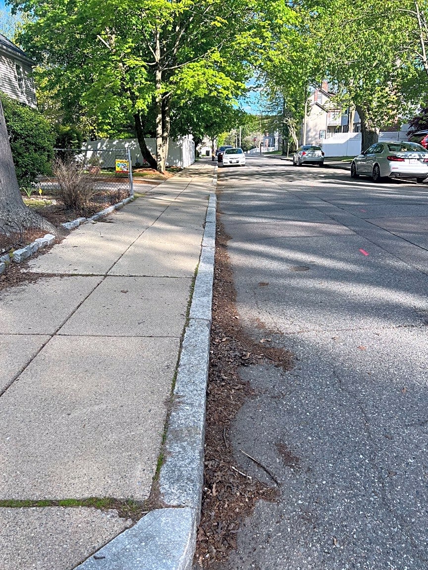 Image submitted with report