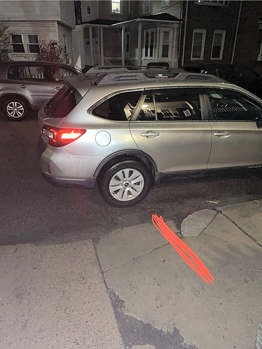 Image submitted with report