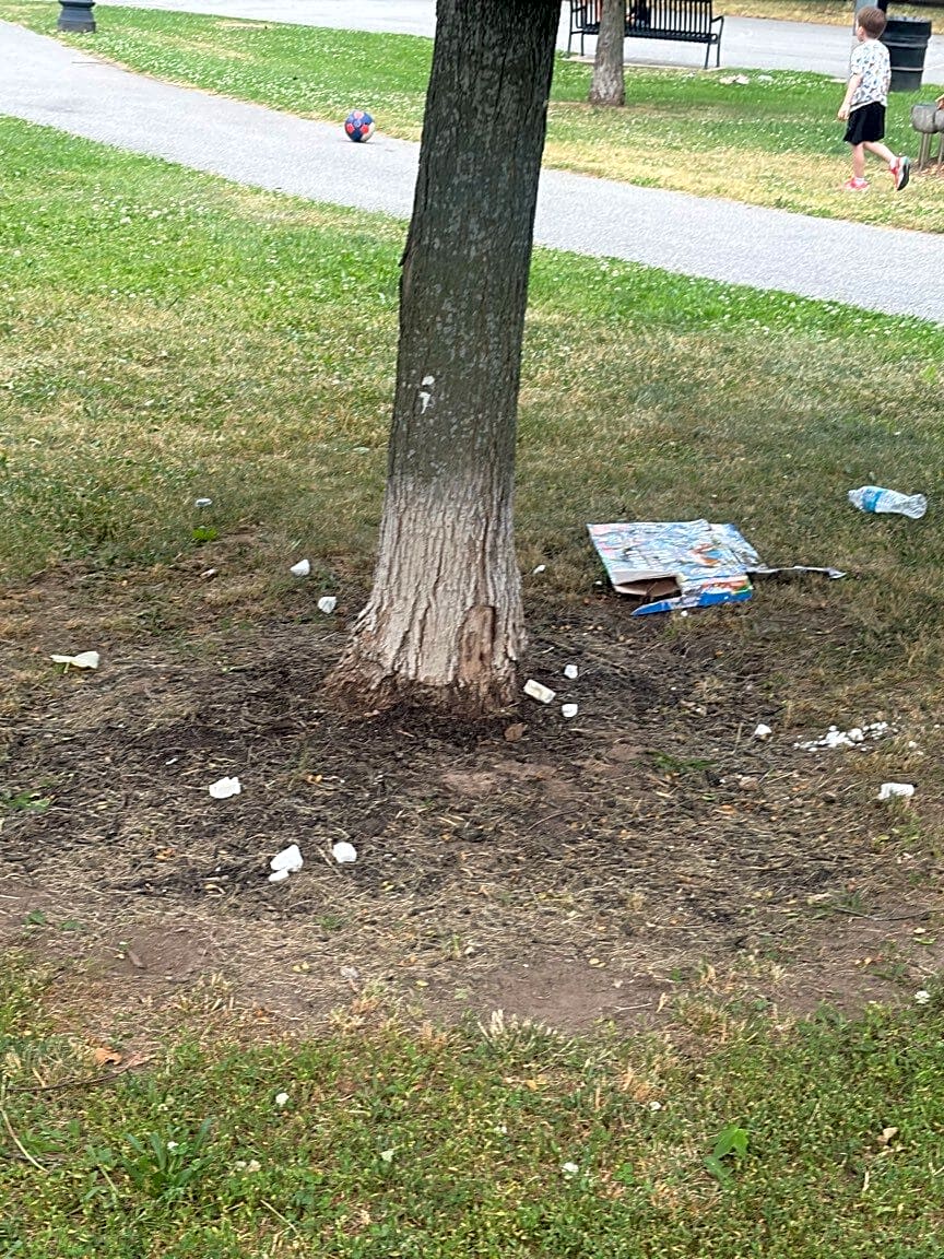 Image submitted with report