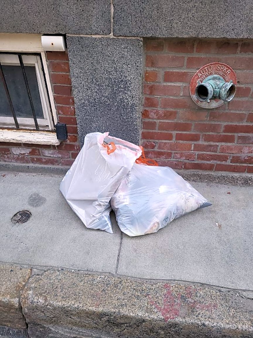 Image submitted with report