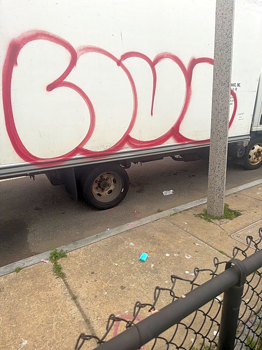 Image submitted with report