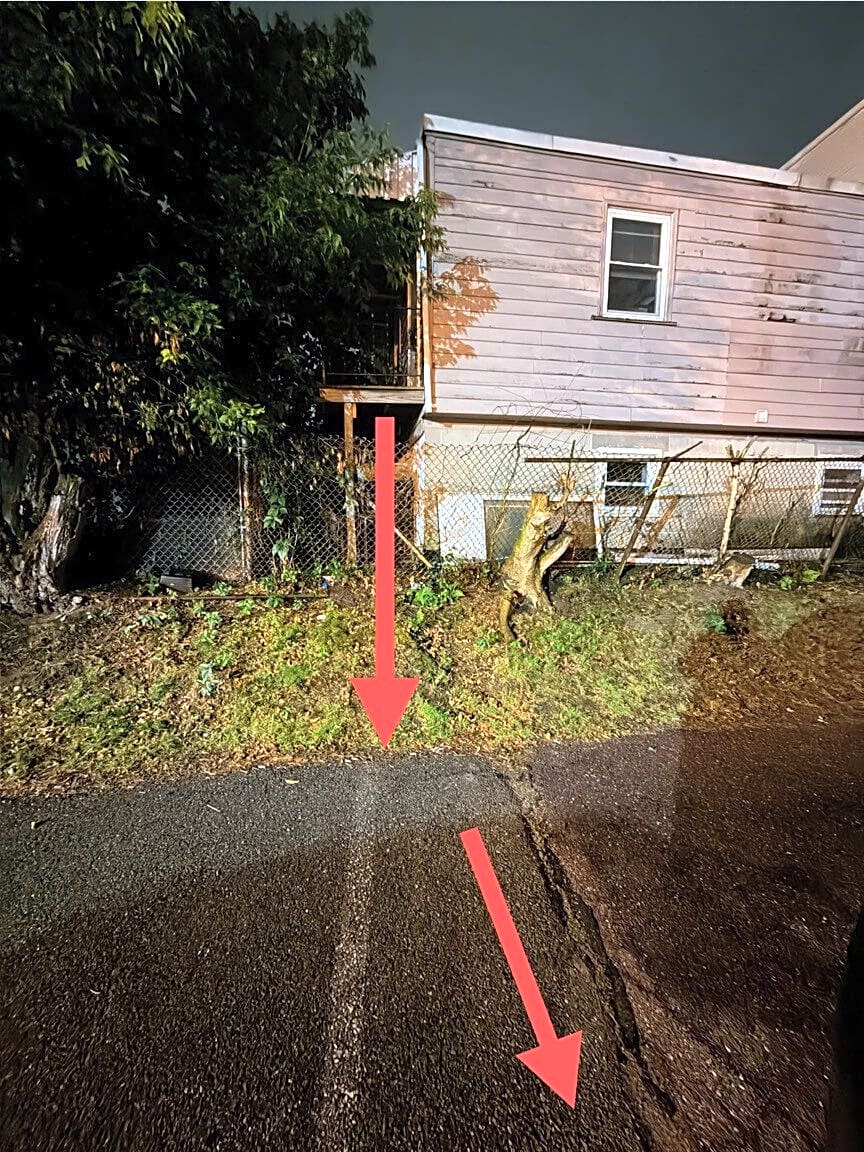 Image submitted with report