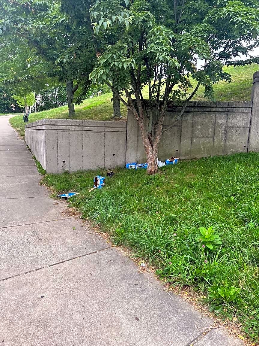 Image submitted with report