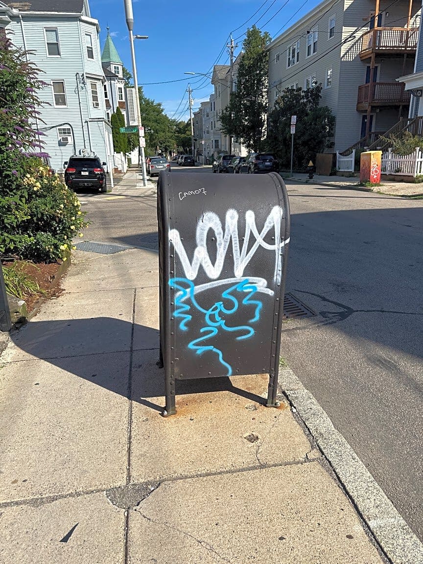 Image submitted with report