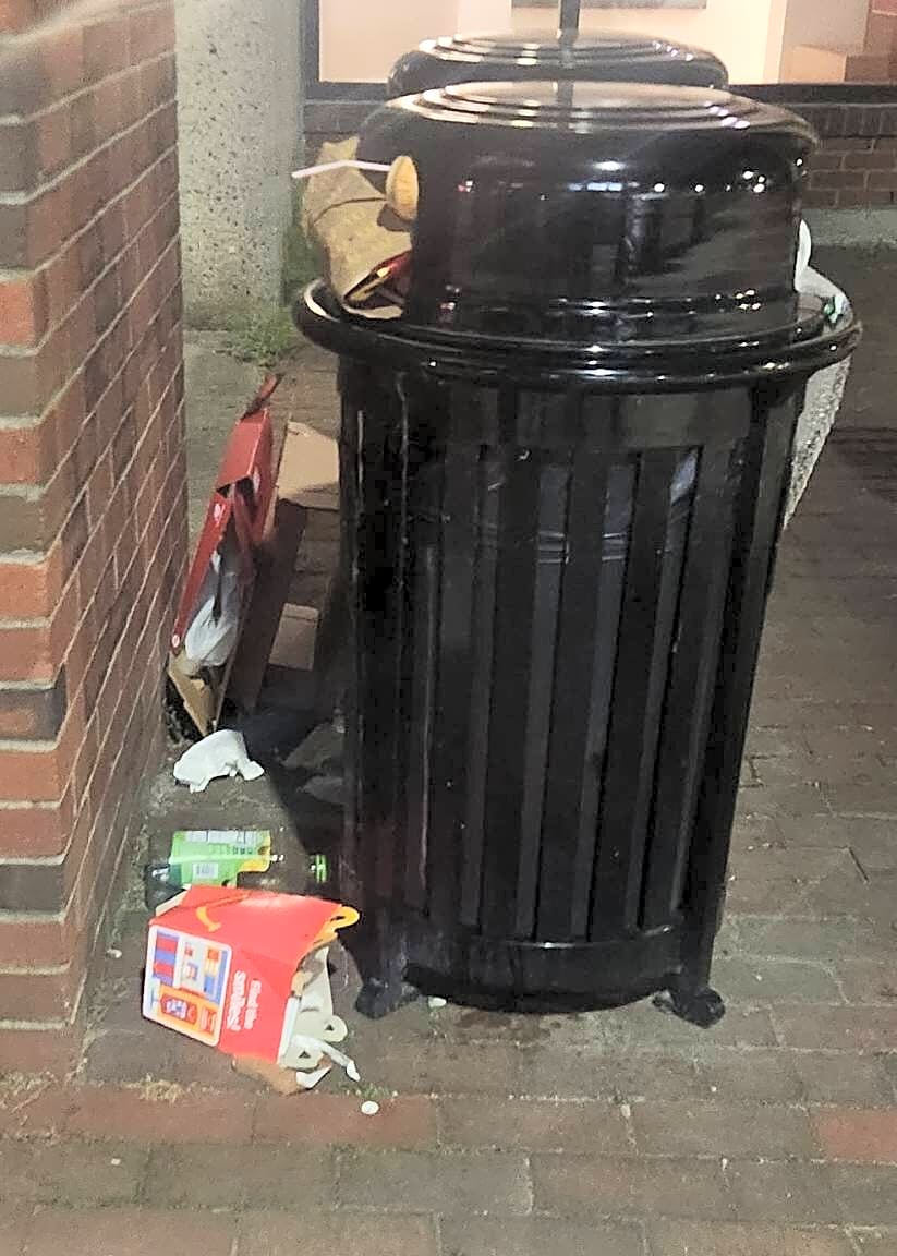 Image submitted with report