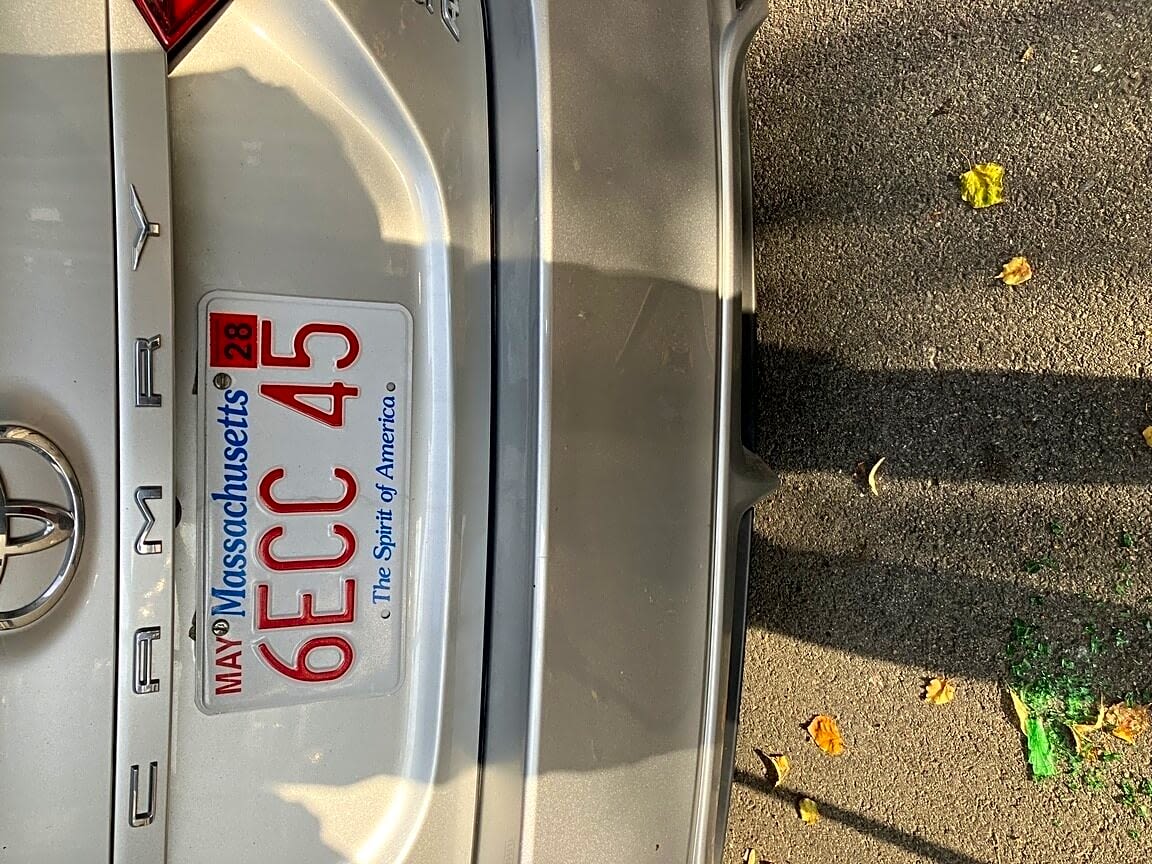 Image submitted with report