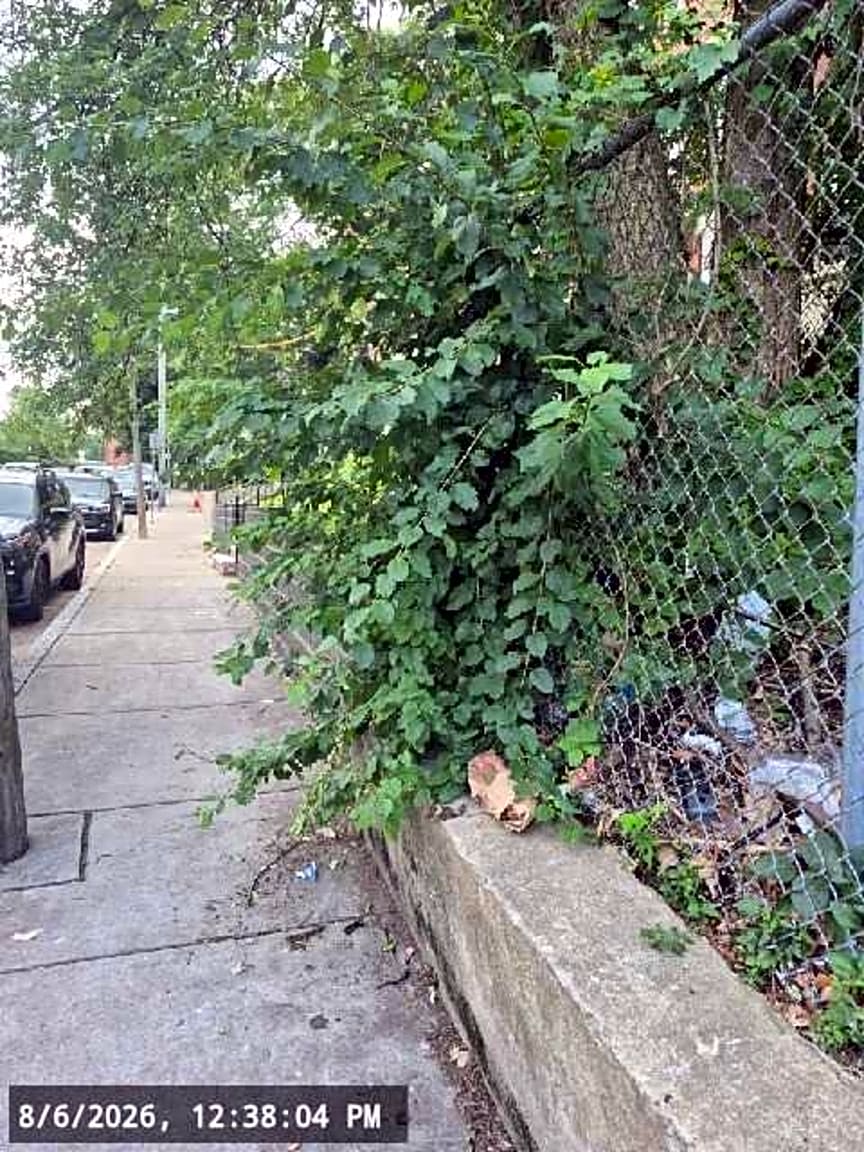 Image submitted with report