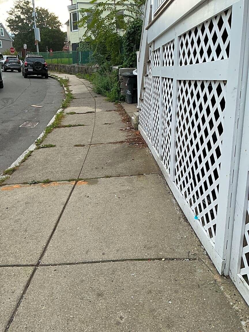 Image submitted with report
