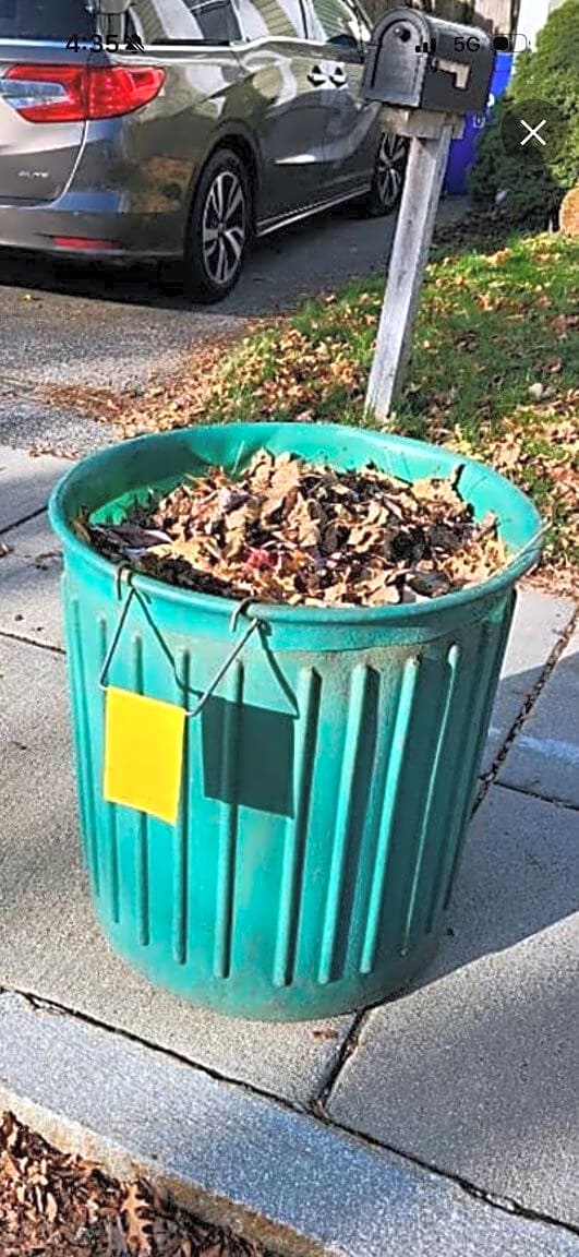 Image submitted with report