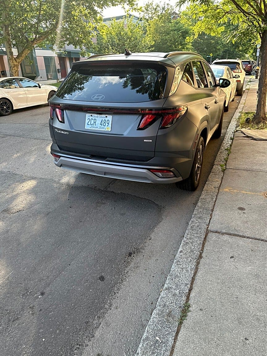 Image submitted with report