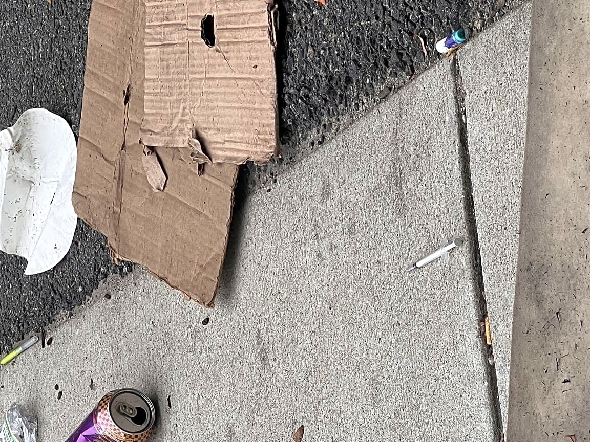 Image submitted with report
