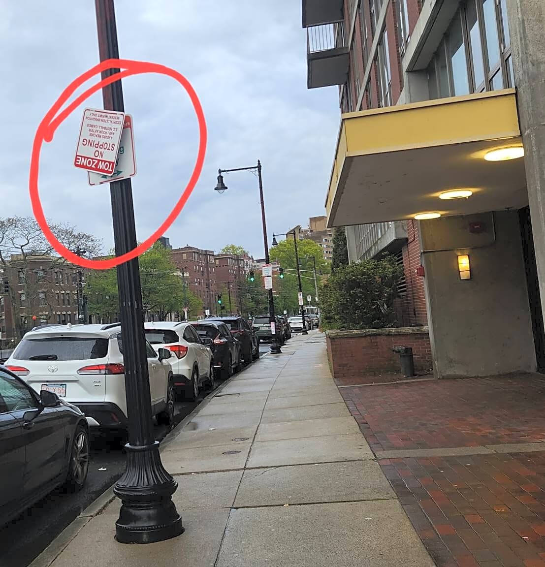 Image submitted with report