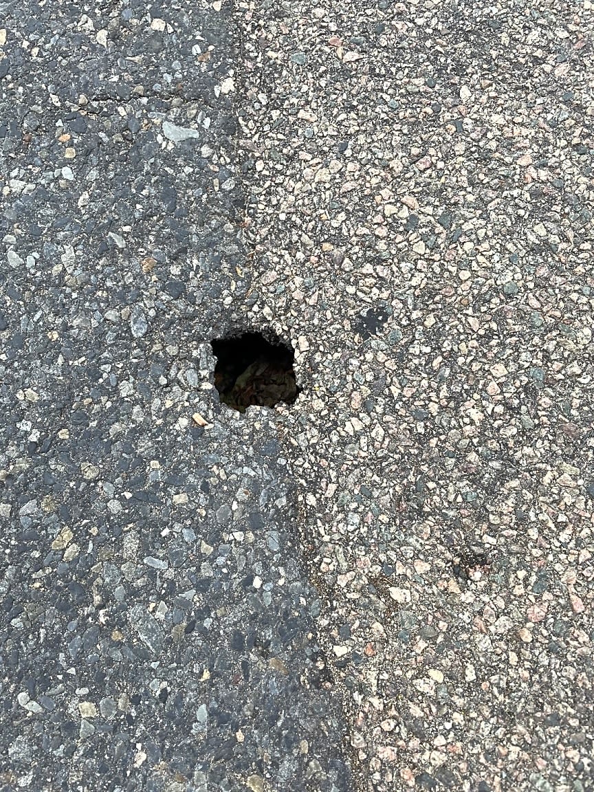 Image submitted with report