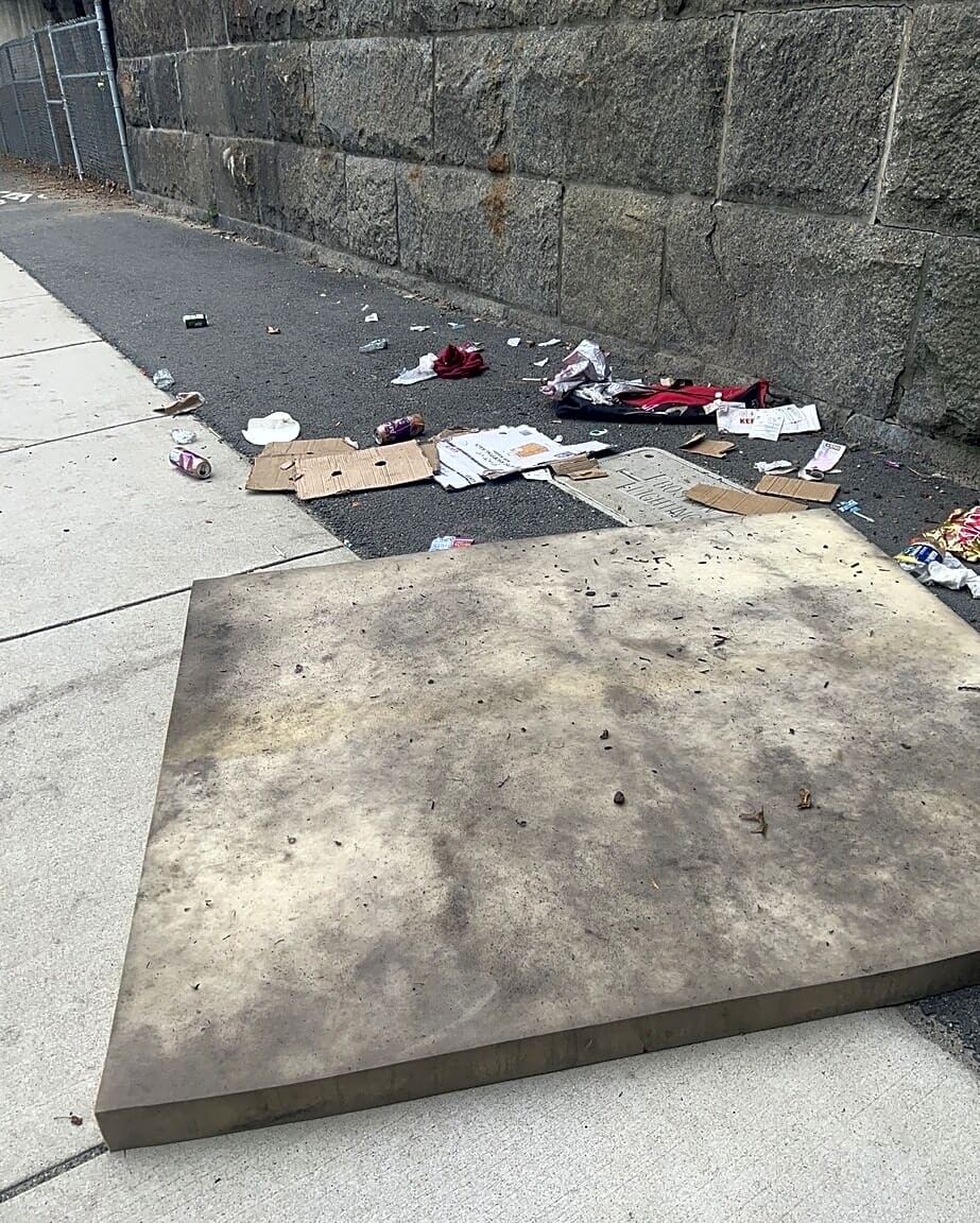 Image submitted with report