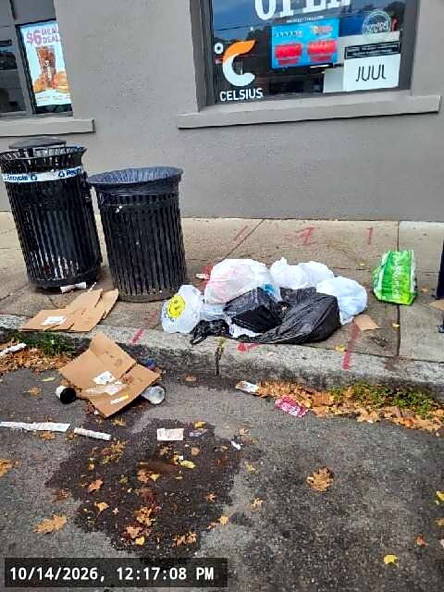 Image submitted with report