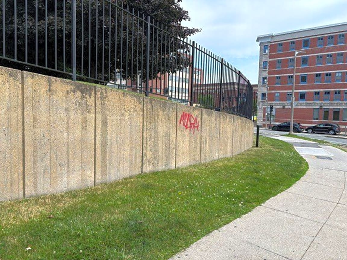 Image submitted with report