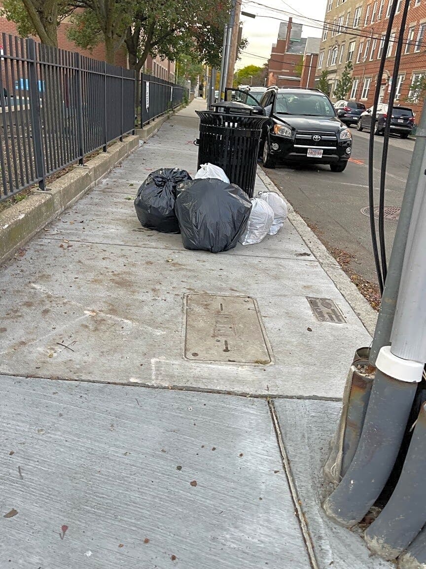 Image submitted with report