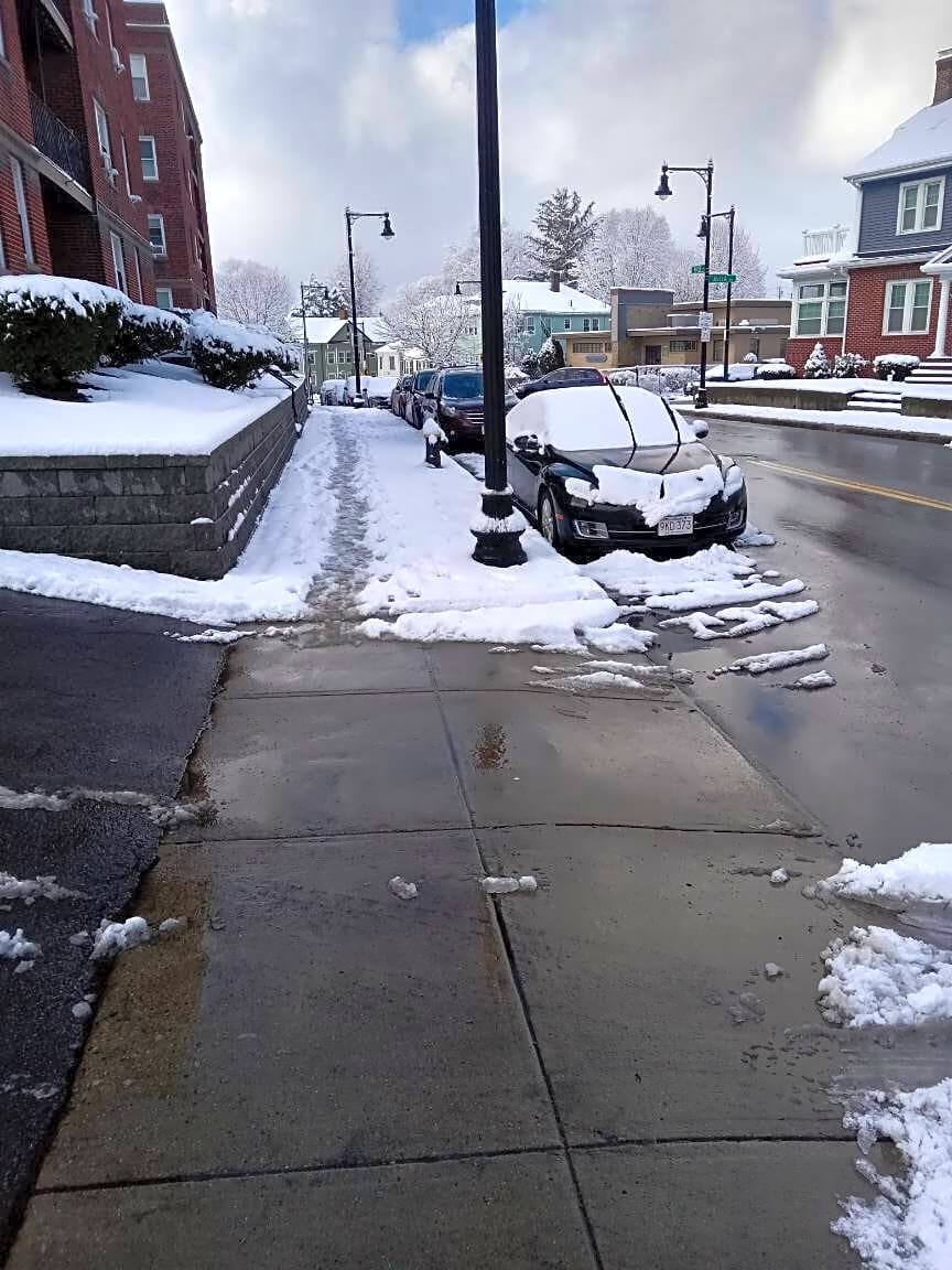 Image submitted with report