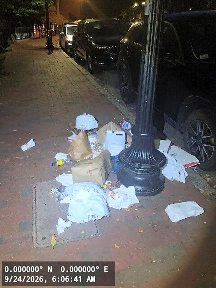 Image submitted with report