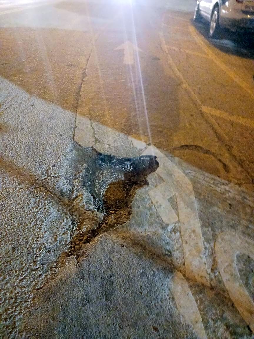 Image submitted with report