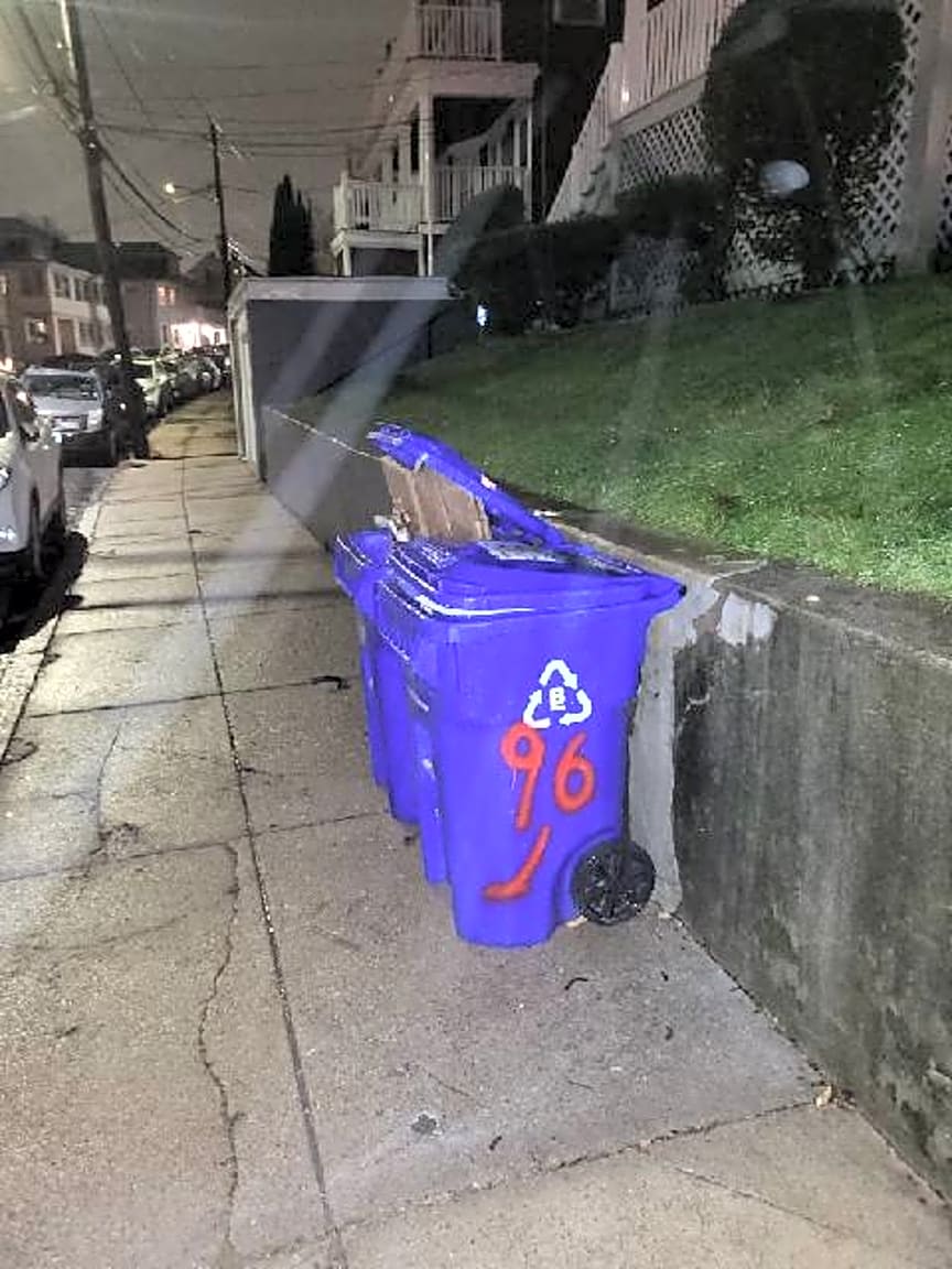 Image submitted with report