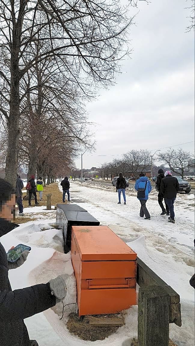 Image submitted with report