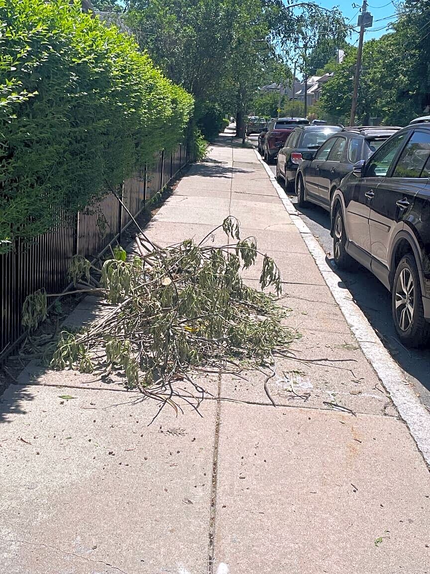 Image submitted with report