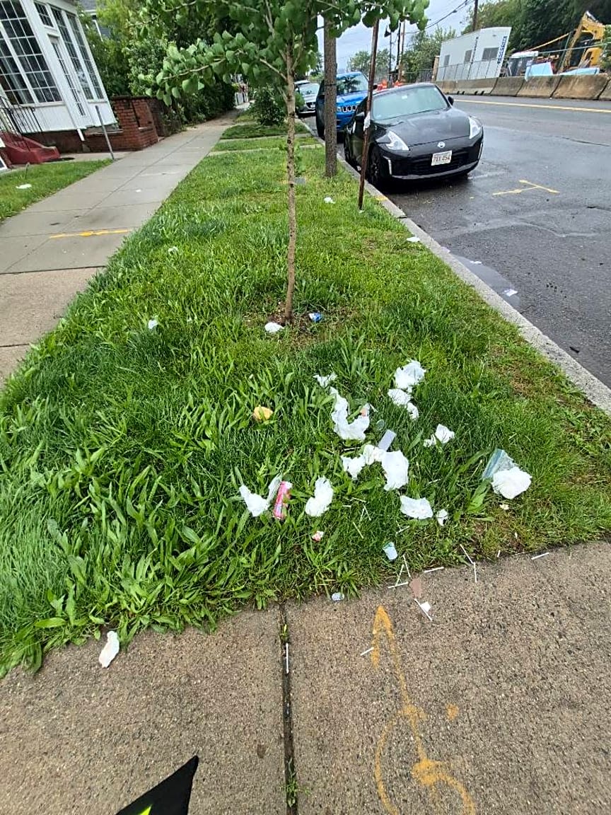 Image submitted with report