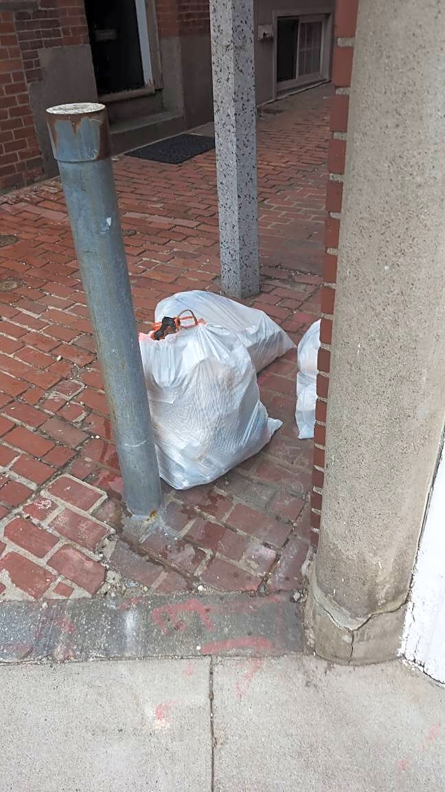 Image submitted with report