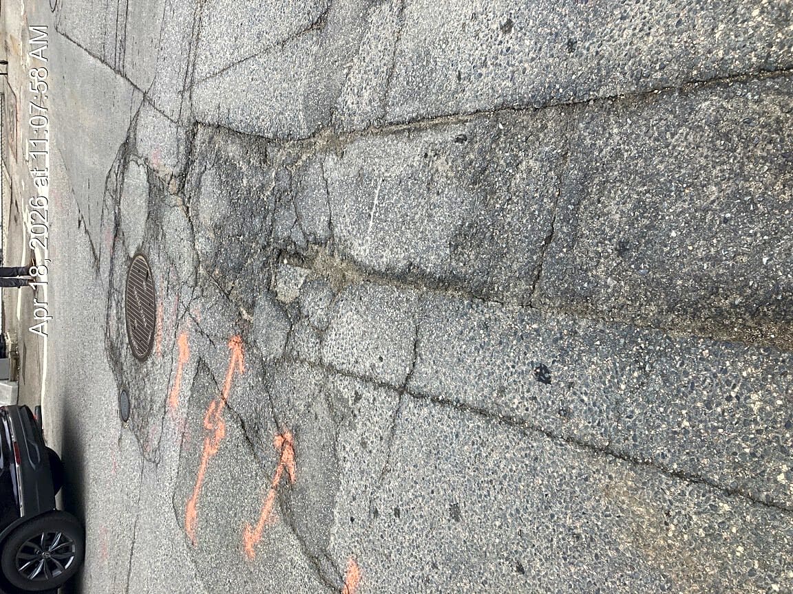 Image submitted with report