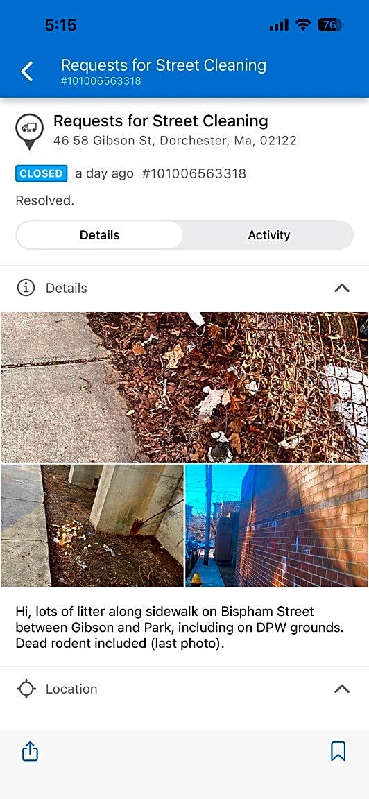 Image submitted with report